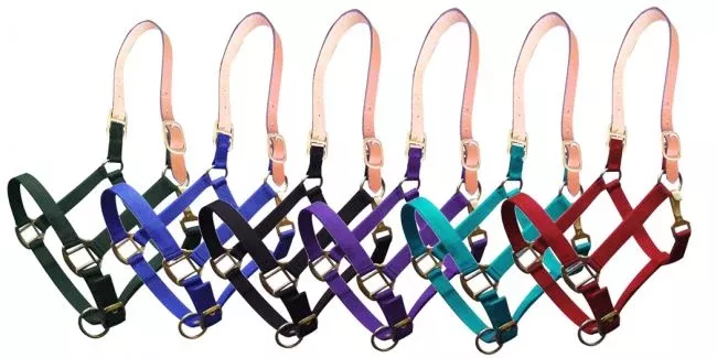 Triple ply nylon halter with leather crown break-away