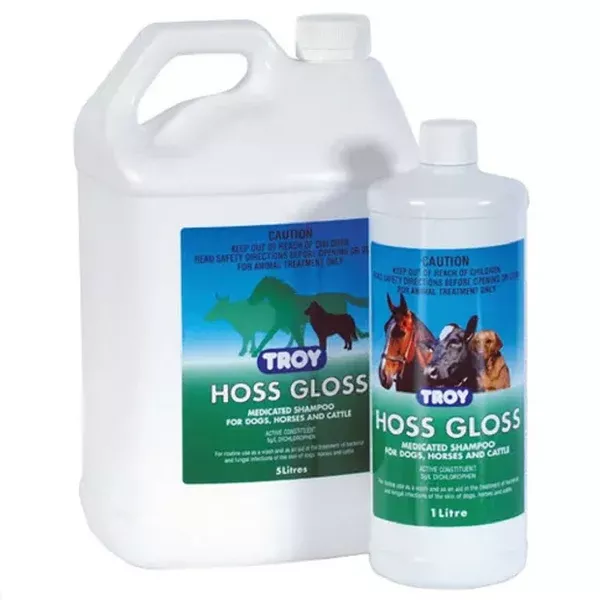 Troy Hoss Gloss