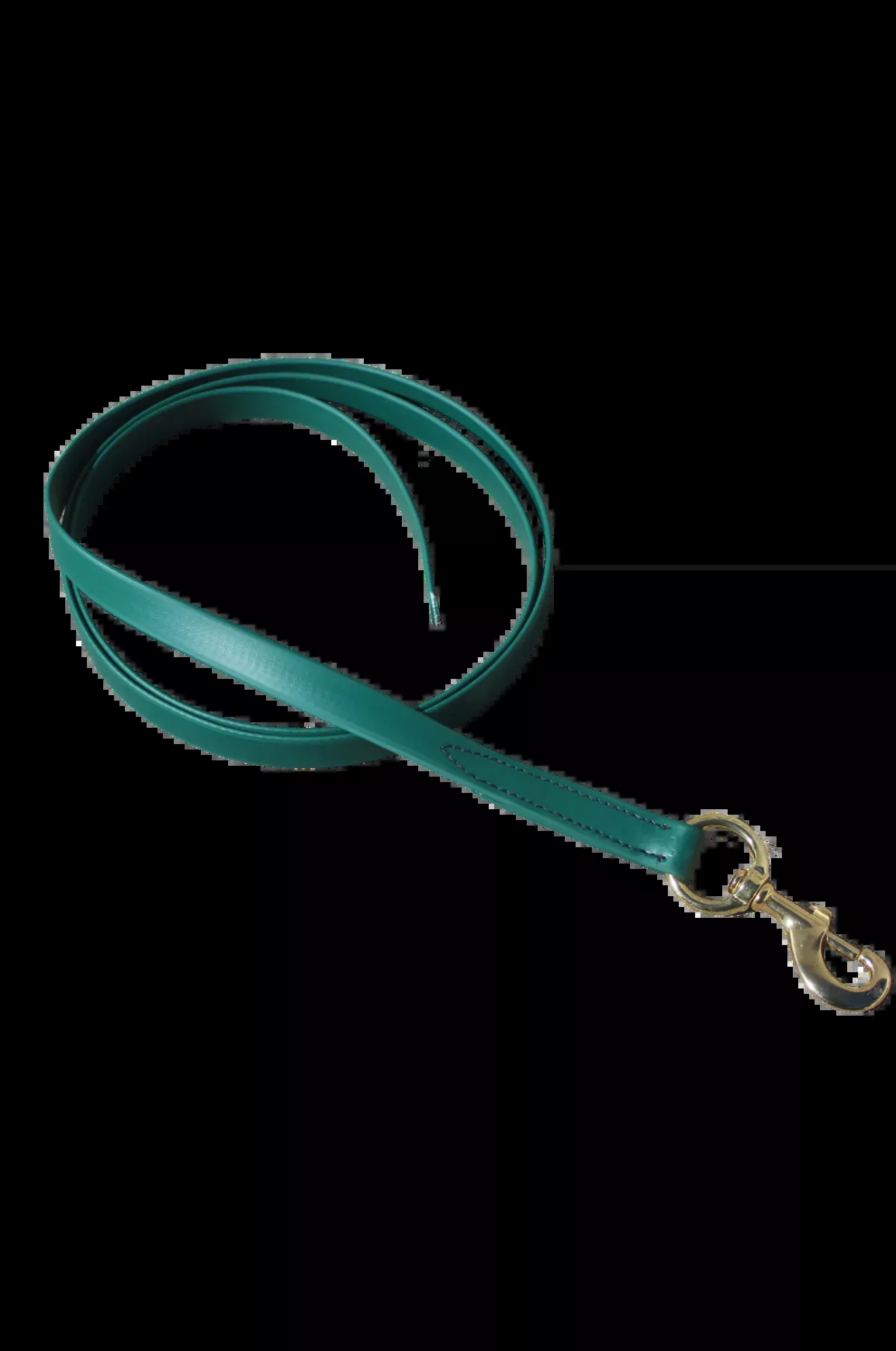 TS Biothane Lead With Snap
