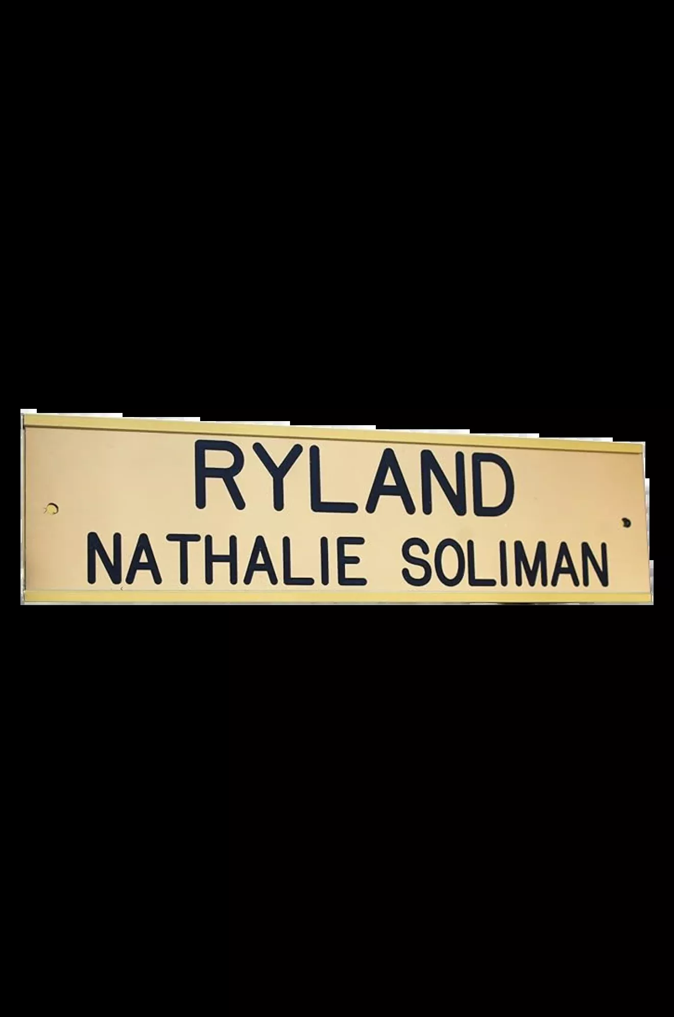 TS Custom Brass Stall Plates
