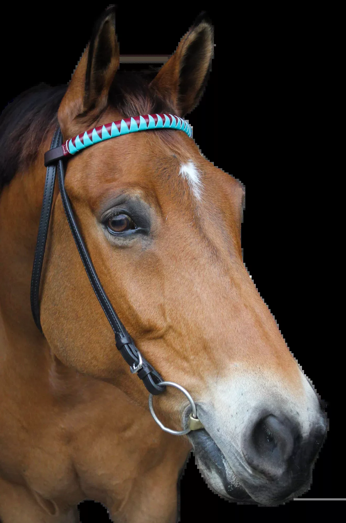 TS Custom Browbands