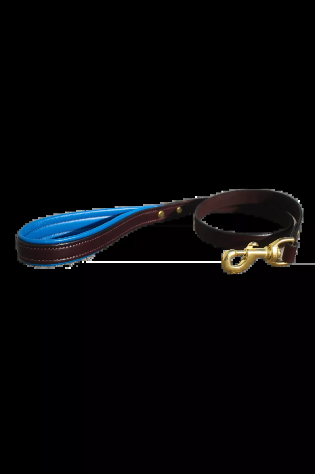 TS Custom Leather Dog Leash