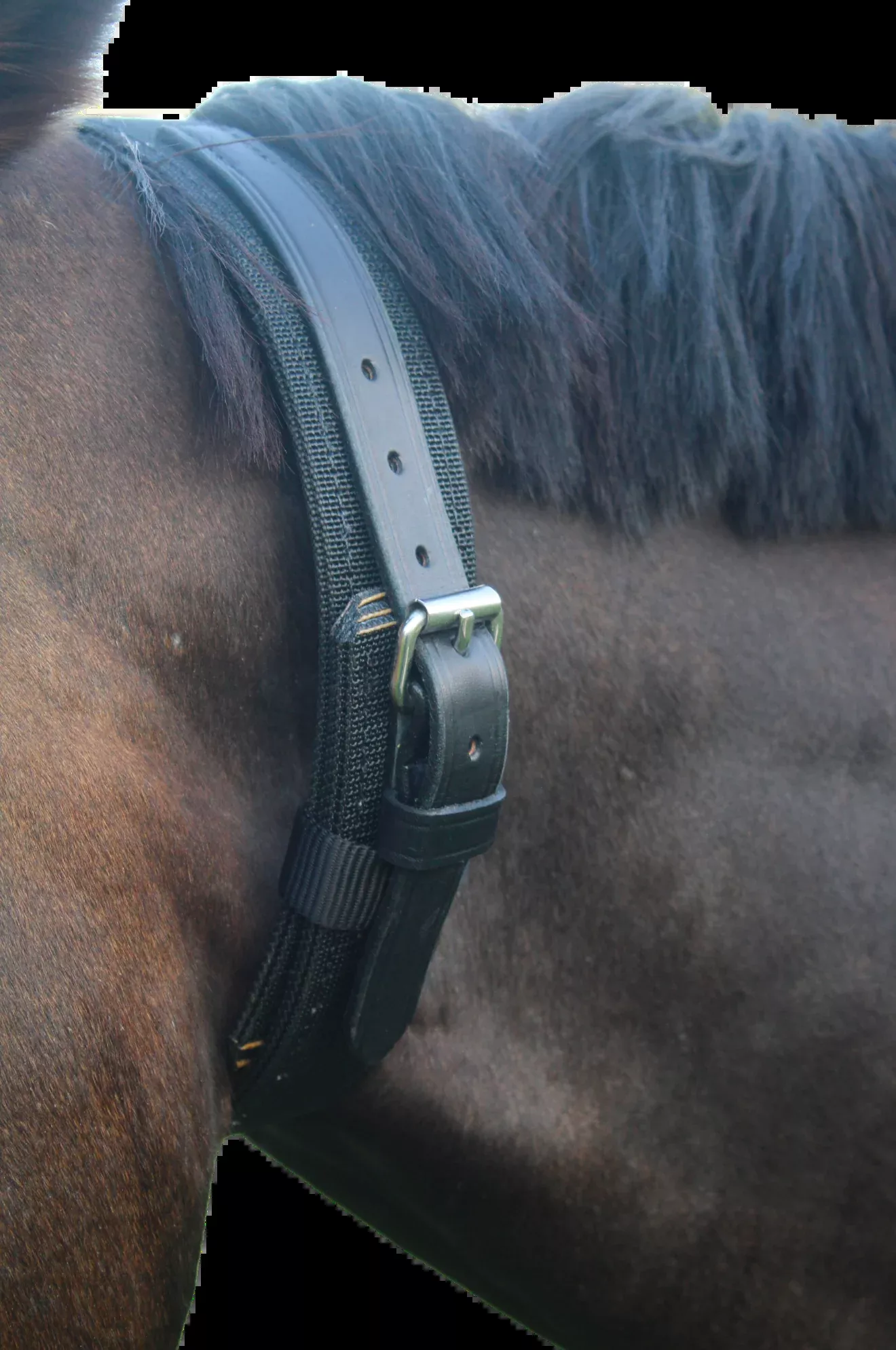 TS Deluxe Nylon Cribbing Strap