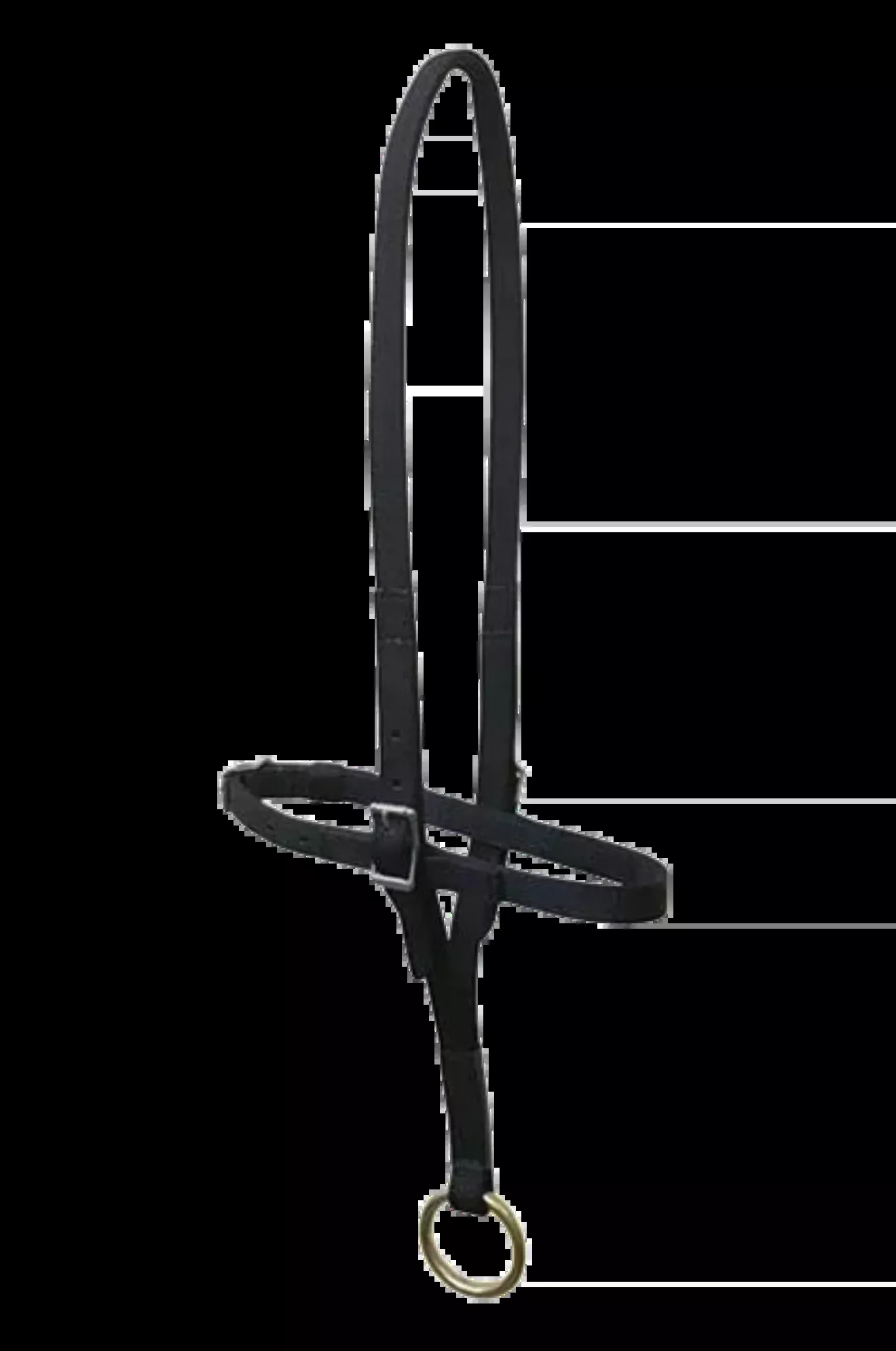TS Flipping Halter