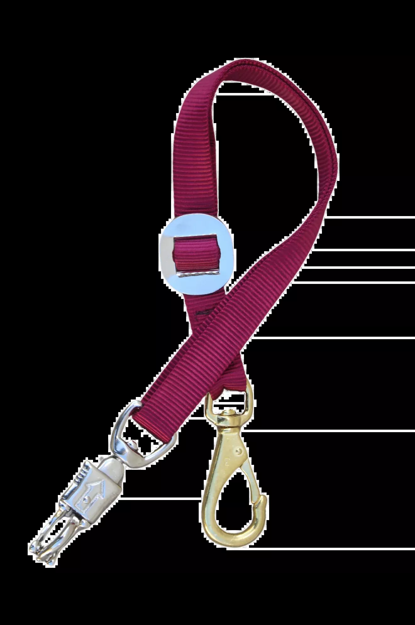 TS Nylon Trailer Tie