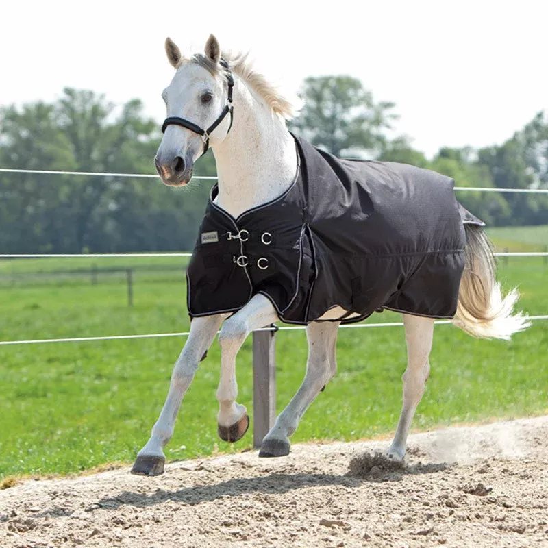 Turnout Rug Alaska IV 100g