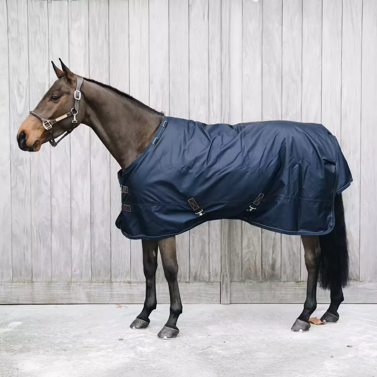 Turnout Rug All Weather Waterproof Pro 300g