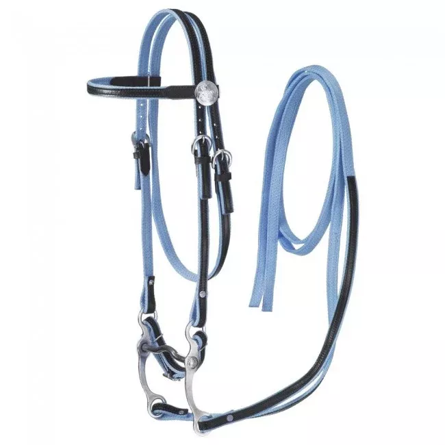 Turquoise Nylon With Leather Overlay
