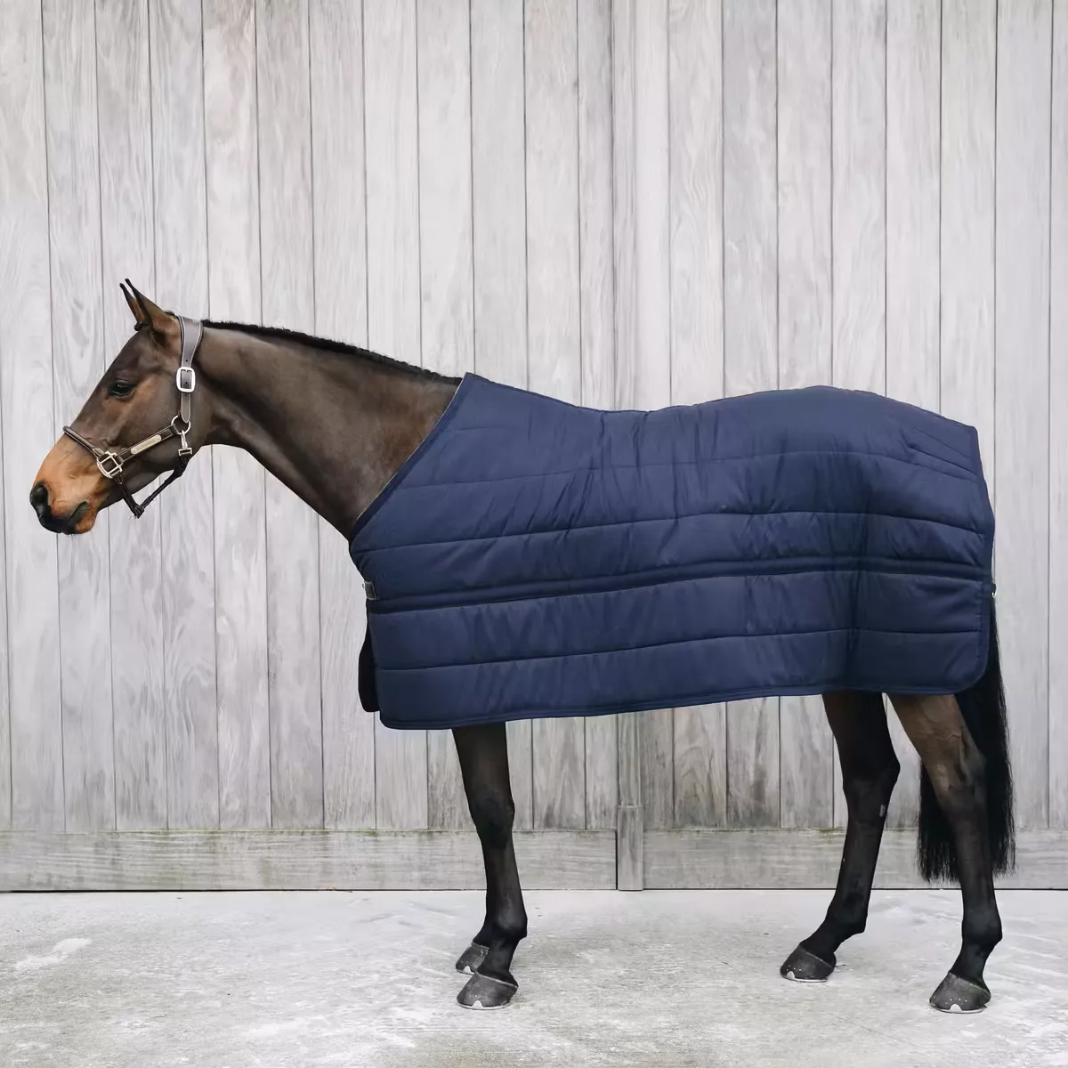 Under Rug Skin Friendly 300g