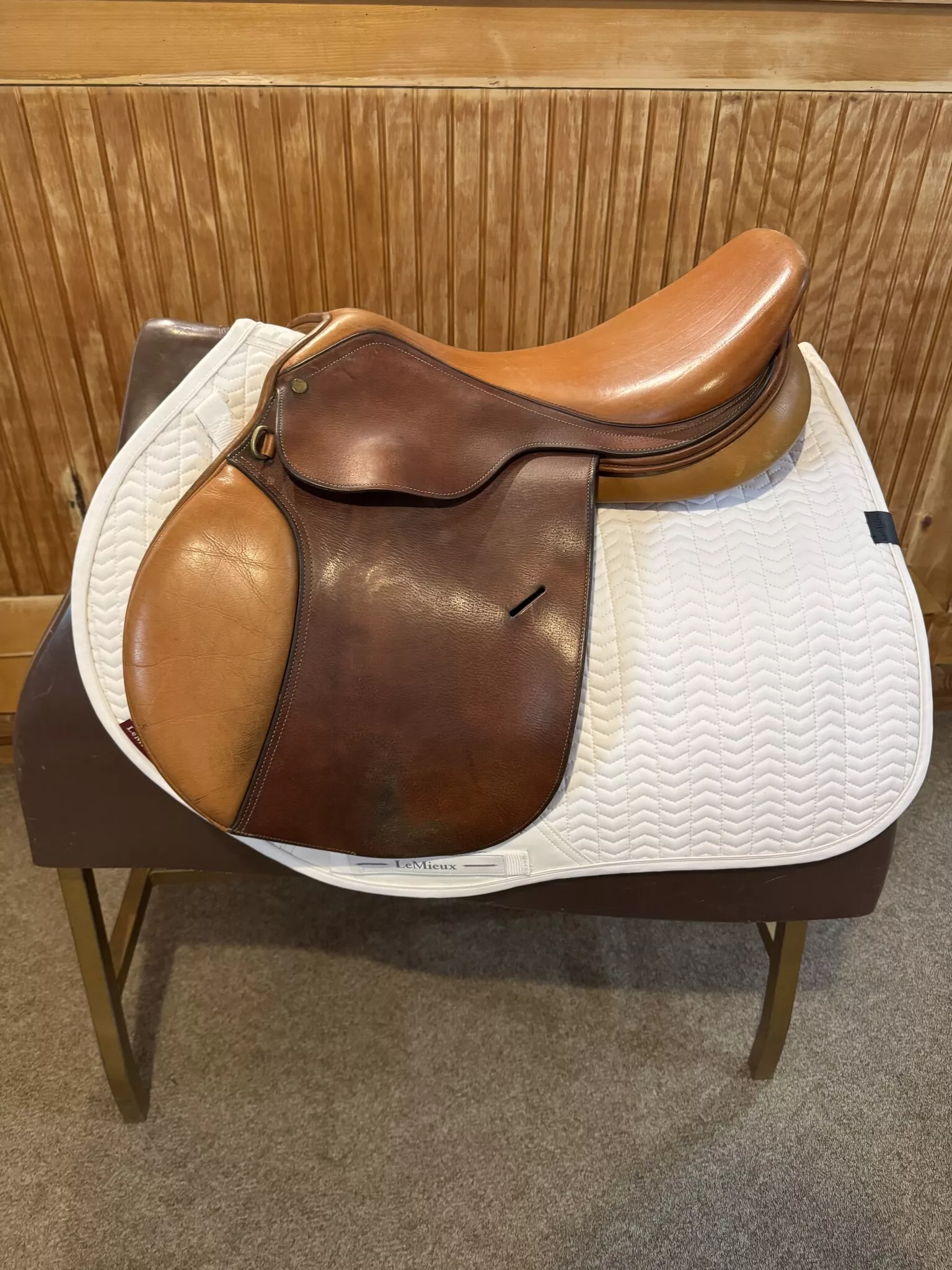 Used Circuit Jump Saddle - 17" M