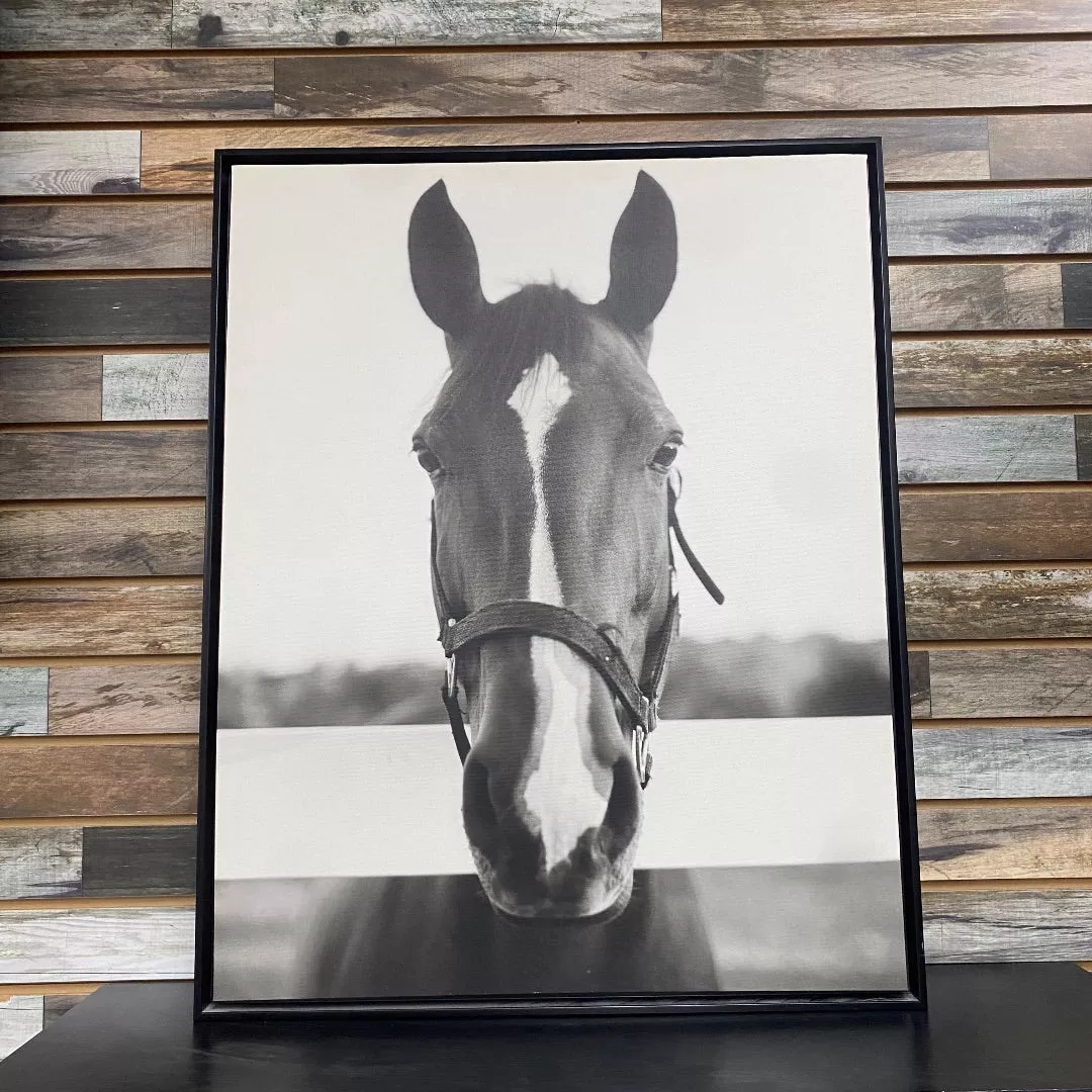 USED Large B/W Monochrome Horse Face Art