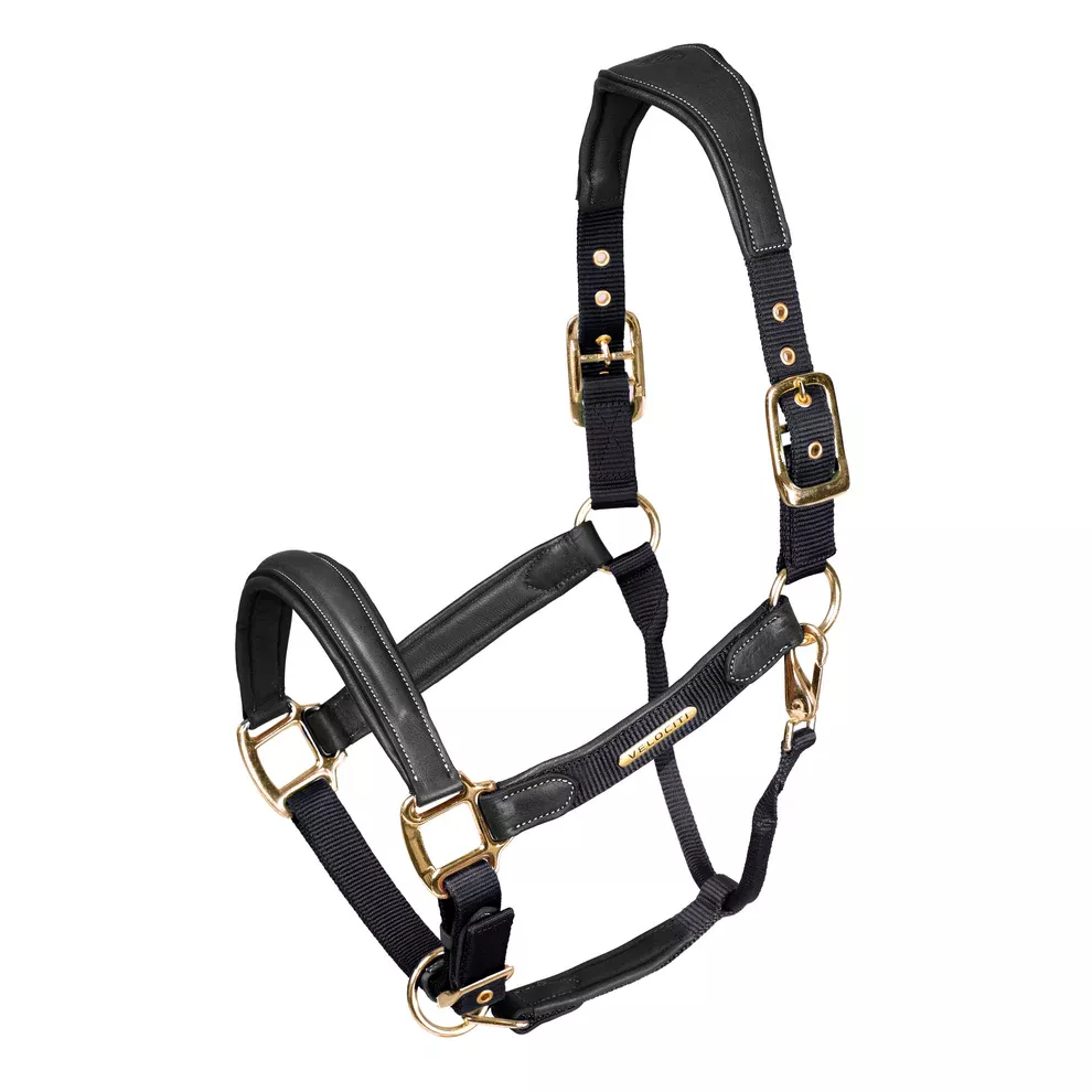 Velociti - Lusso Padded Leather Breakaway Halter -