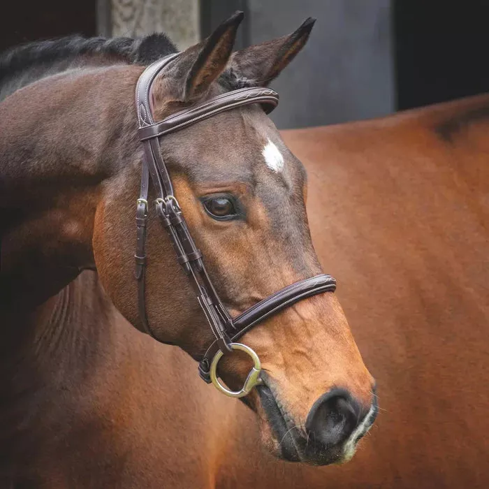Velociti Rapida Flat Hunter Cavesson Bridle
