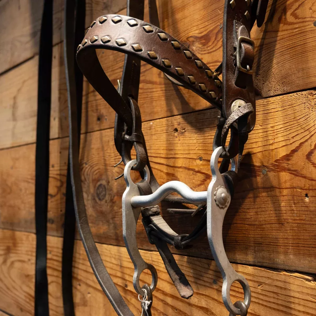 Vintage Bridle Accented w/ Copper Diamond Dots & Red Concho buttons
