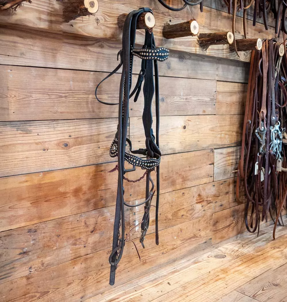 Vintage Bridle Rig with a Solid Port Bit