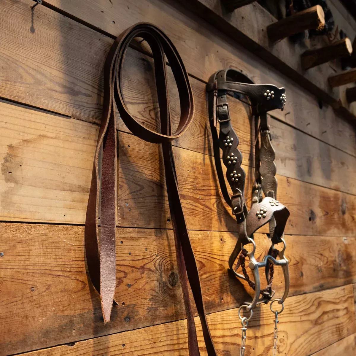 Vintage Nickel Dotted Cavesson & Horse Bridle Rig