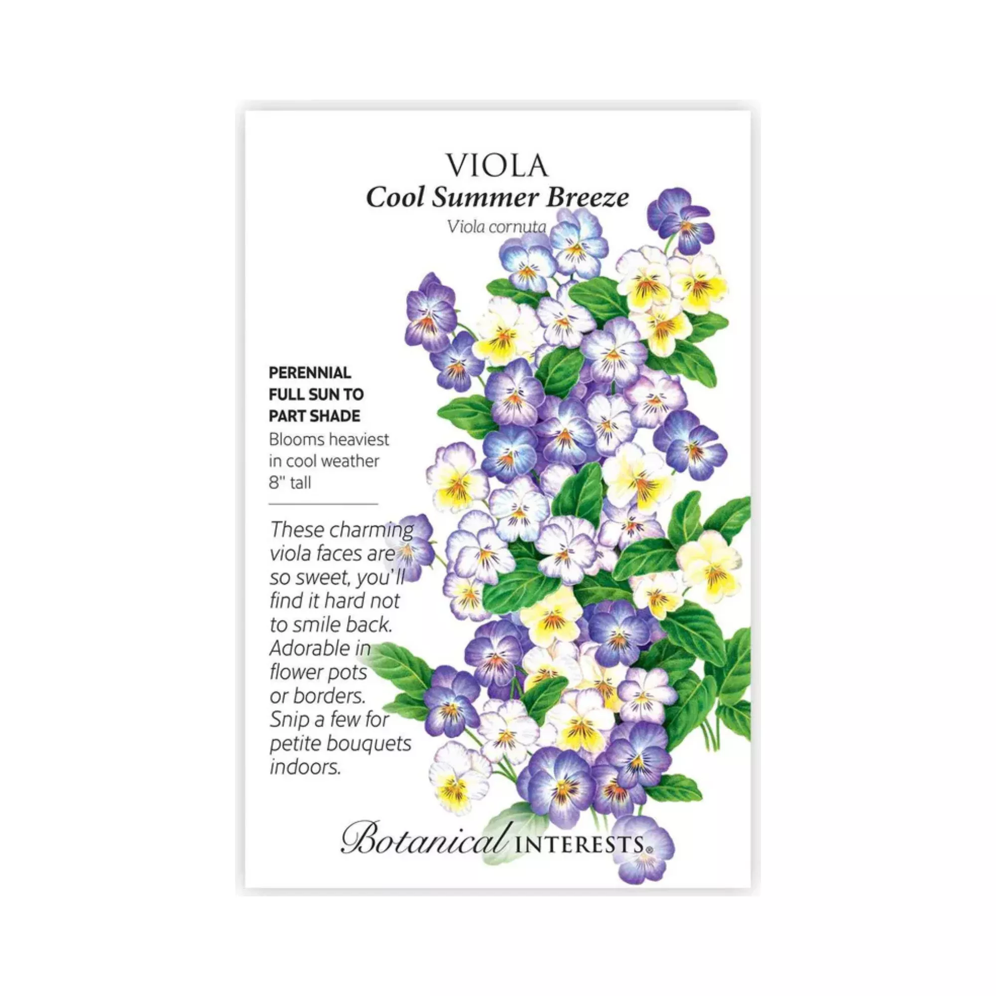 Viola Cool Summer Breeze
