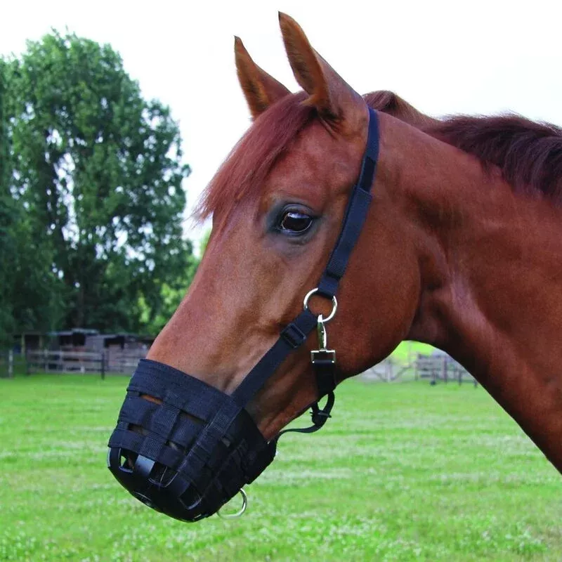 Waldhausen Grazing Muzzle - Pony Size **CLEARANCE**