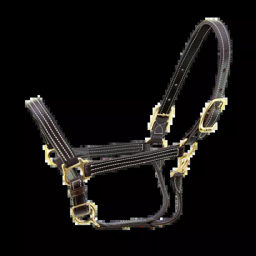 Walsh Kentucky Leather Halter