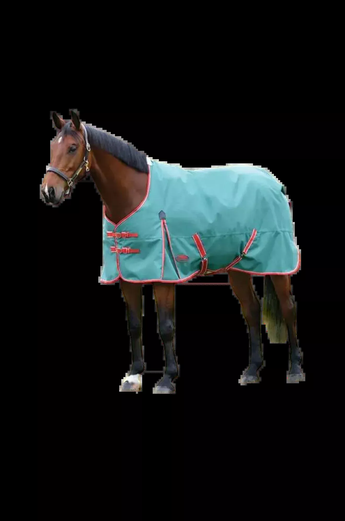 WB Comfitec Prelim Standard Turnout Blanket disc