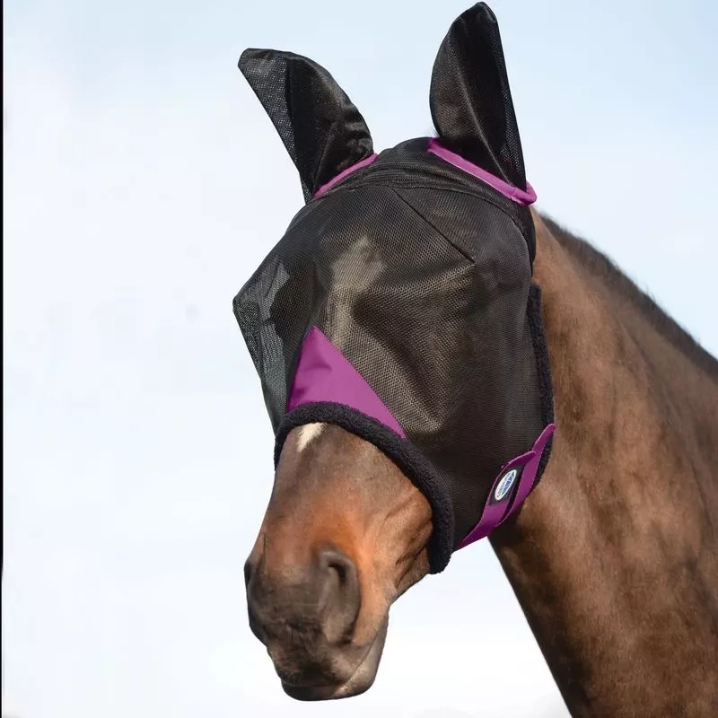 Weatherbeeta Comfitec Durable Mesh Mask W/Ears – Black/Purple