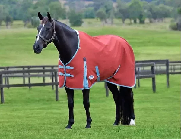 WeatherBeeta ComFiTec Essential Standard Neck Turnout Sheet - Lite (0g)