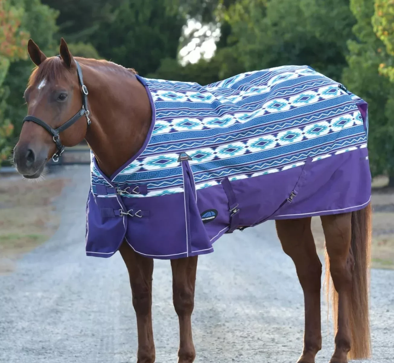 Weatherbeeta ComFiTec Essential Turnout 220G Purple Navajo