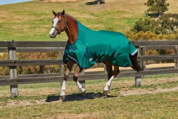 Weatherbeeta ComFiTec Plus Dynamic II High Neck Medium