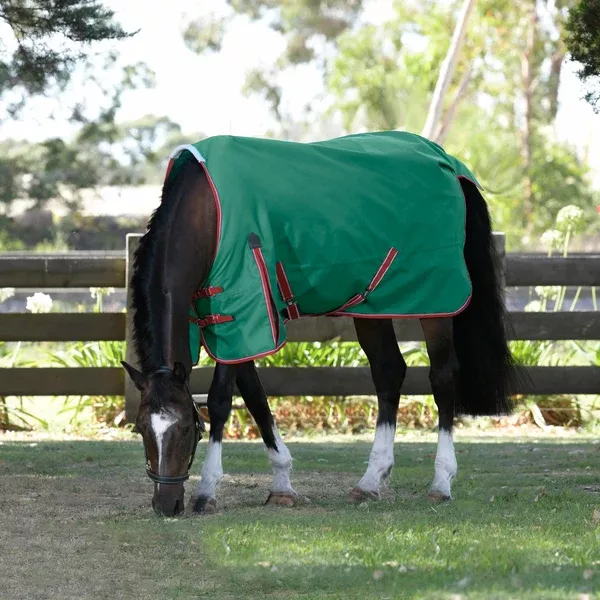 Weatherbeeta ComFiTec Prelim Standard Neck Medium - Dark Green/Red/White (220g)