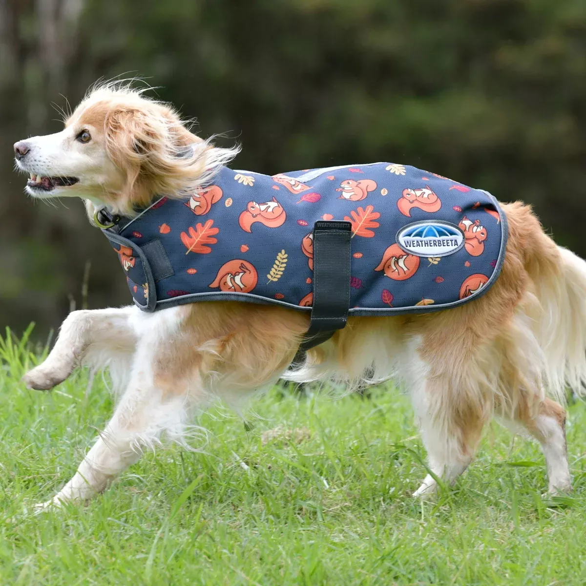 Weatherbeeta Comfitec Premier Free Parka Dog Coat - Squirrel Print