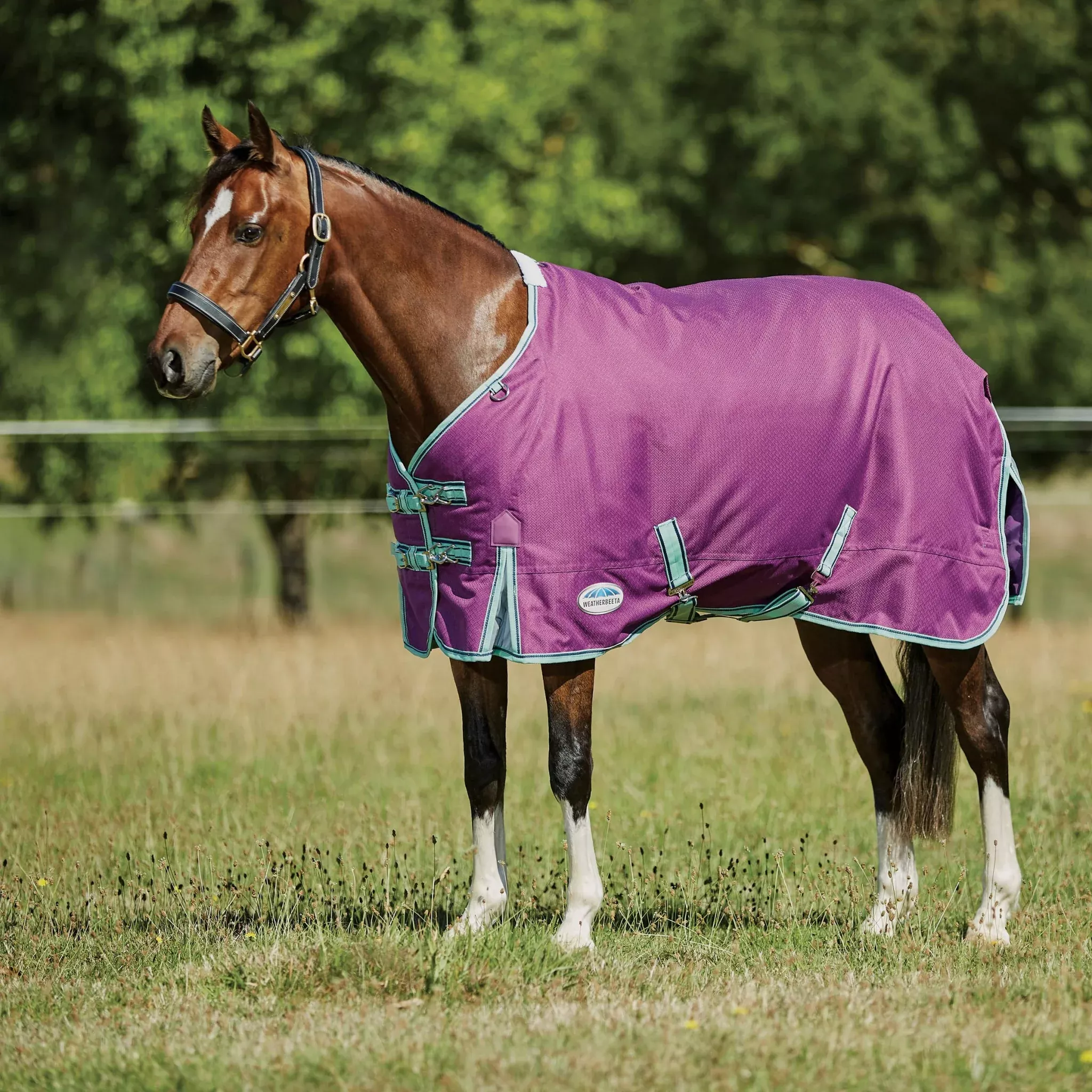 Weatherbeeta ComFiTec Premier Freedom Pony Standard Neck Lite Turnout