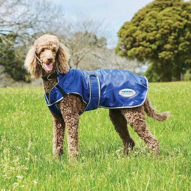 Weatherbeeta ComFiTec Windbreaker Deluxe Dog Coat