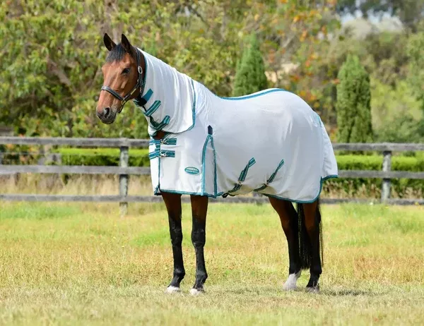 Weatherbeeta ComfiTec Zephyr Plus Mesh Combo Neck Sheet