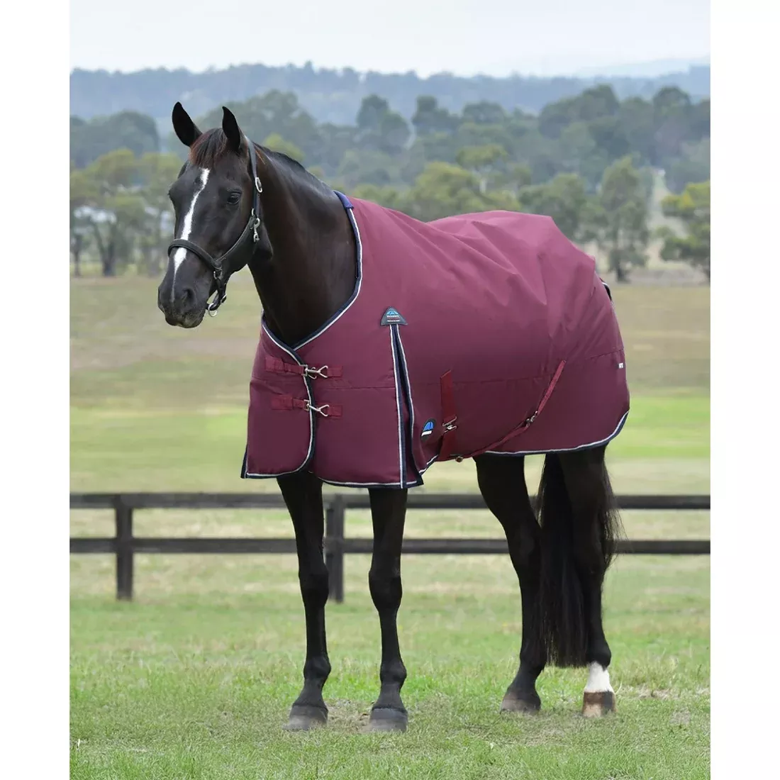 Weatherbeeta Essential 0g Turnout Rug