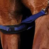 Weatherbeeta - Padded Leg Straps