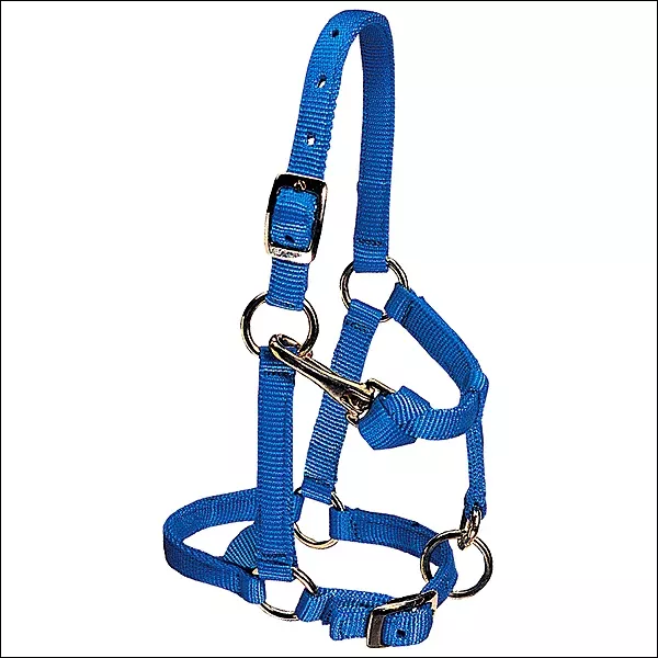 Weaver Blue Nylon Miniature Horse Adjustable Chin And Throat Snap Halter Average