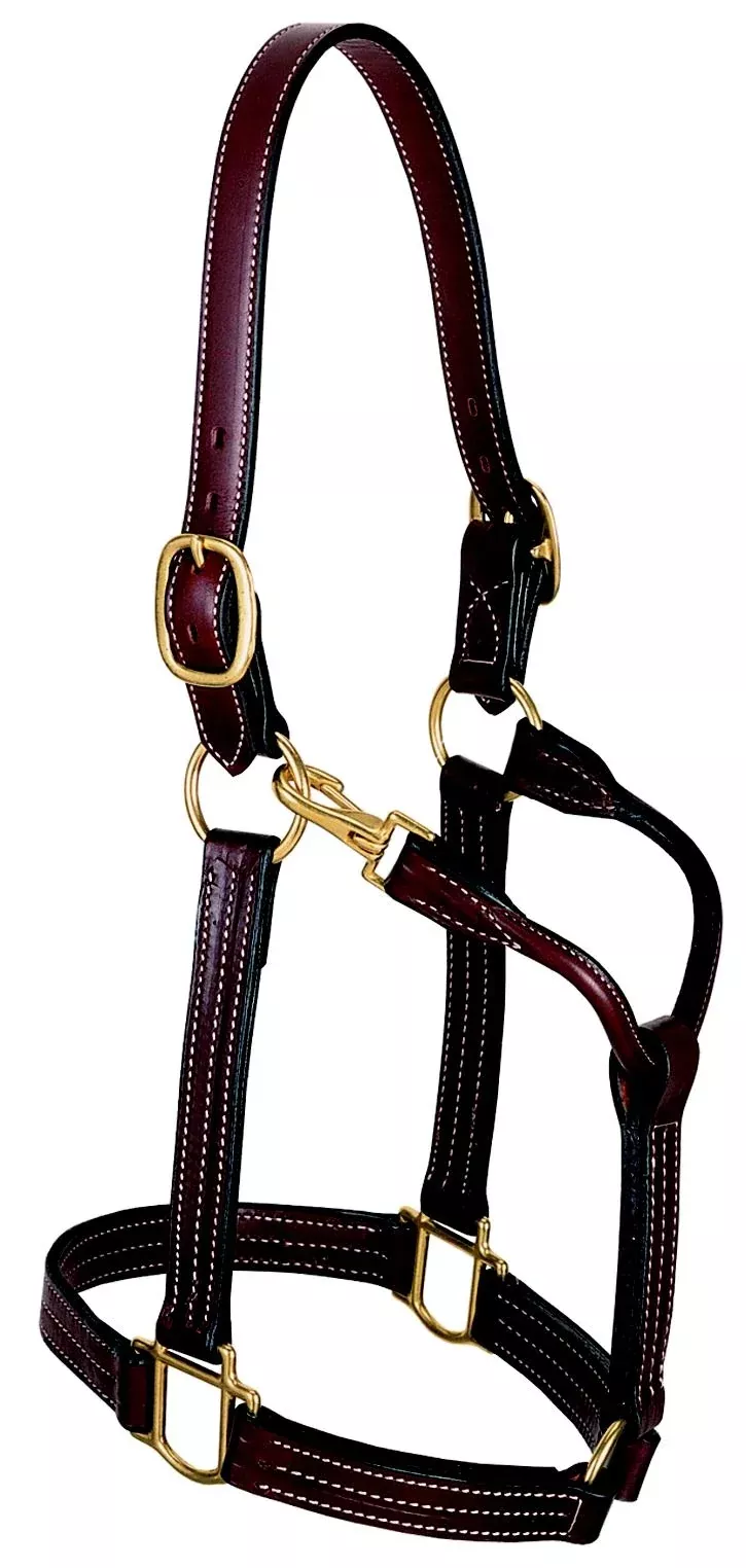 Weaver Leather 1" Thoroghbred Halter With O Snap