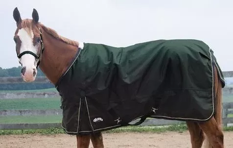 Weaver Midweight Horse Turnout Blanket