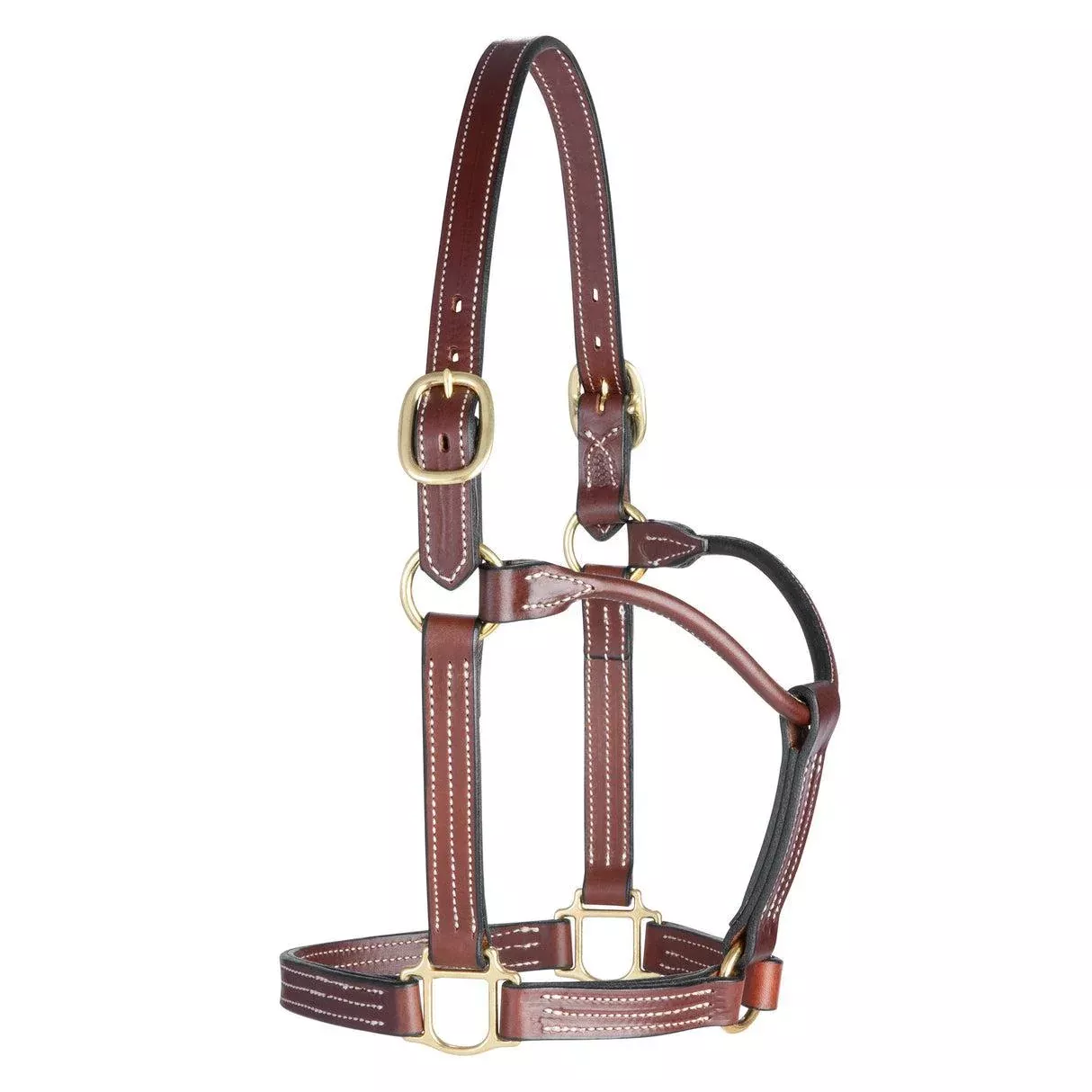 Weaver Thoroughbred Halter Horse
