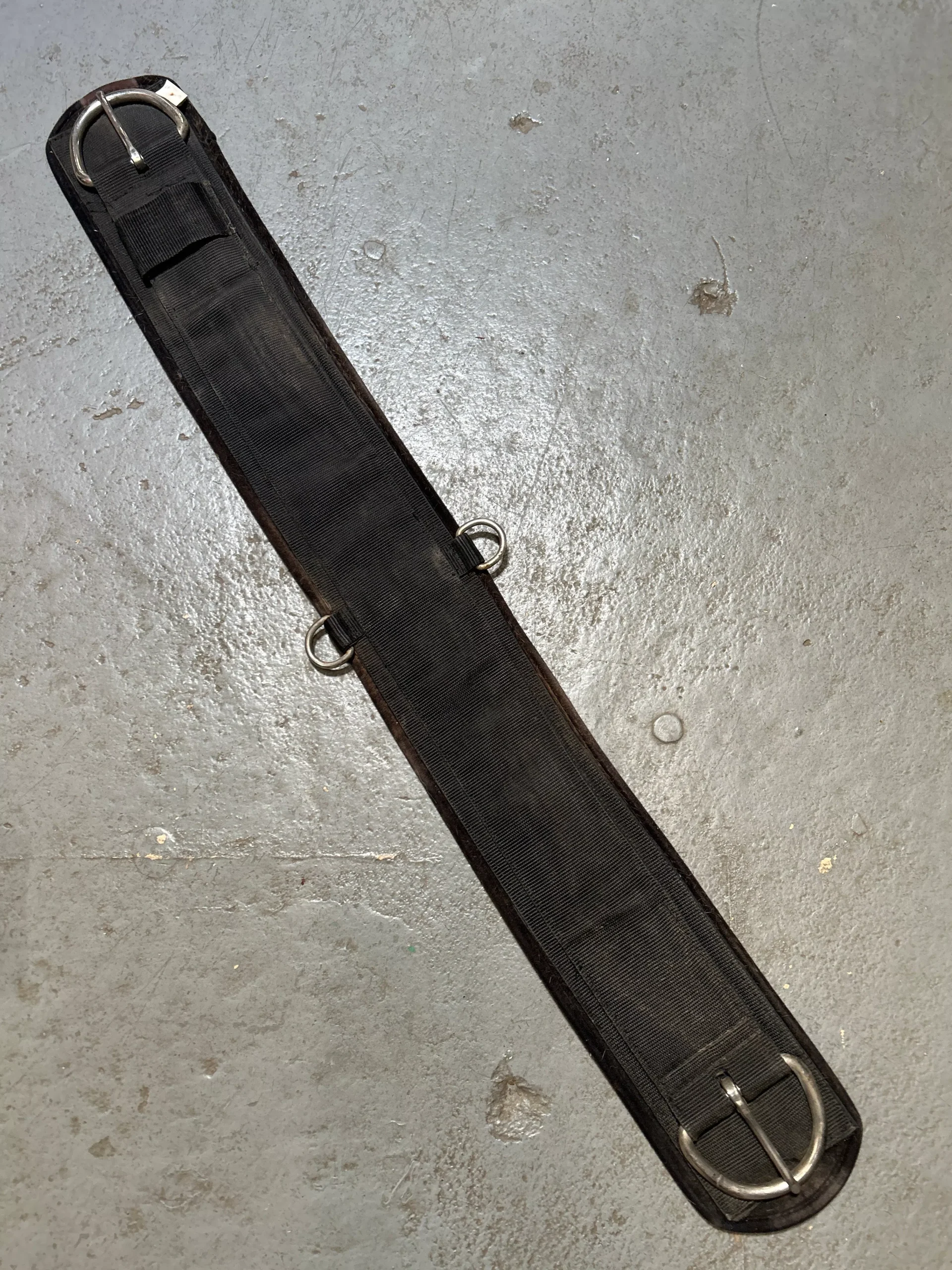 Western Basic Cinch 36"
