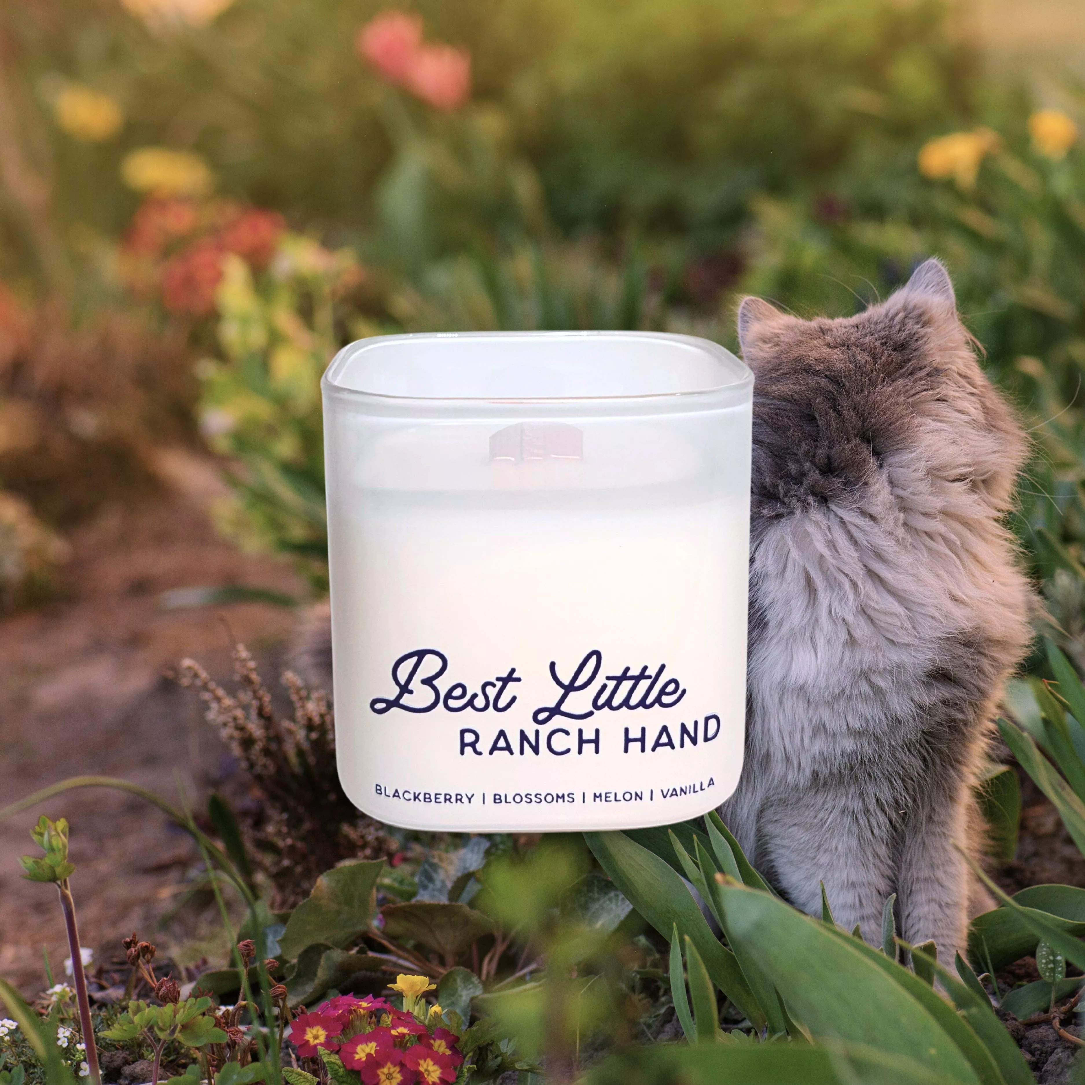 Western Hive Candle Best Little Ranch Hand