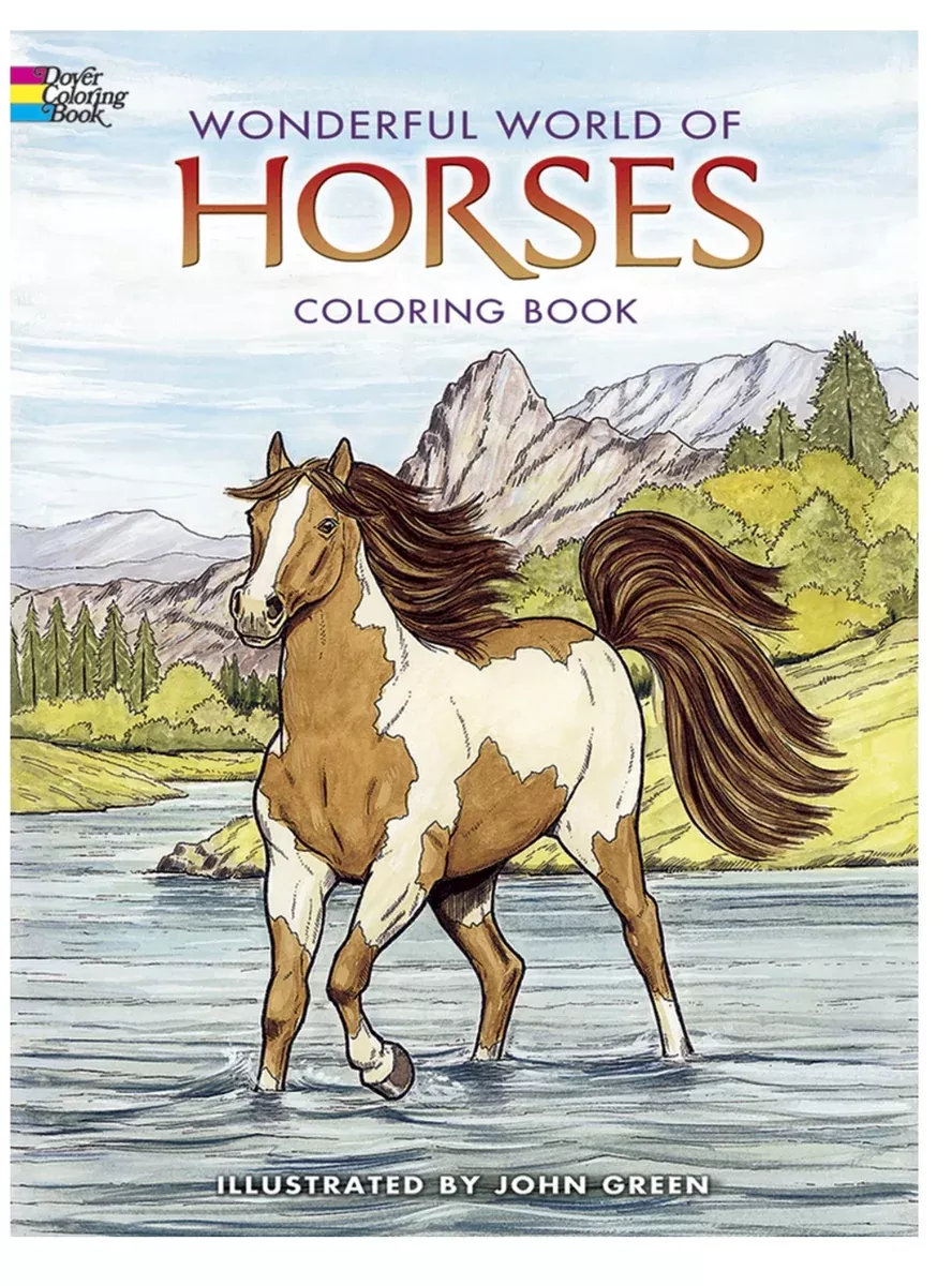 Wonderful World of Horses Colouring Book