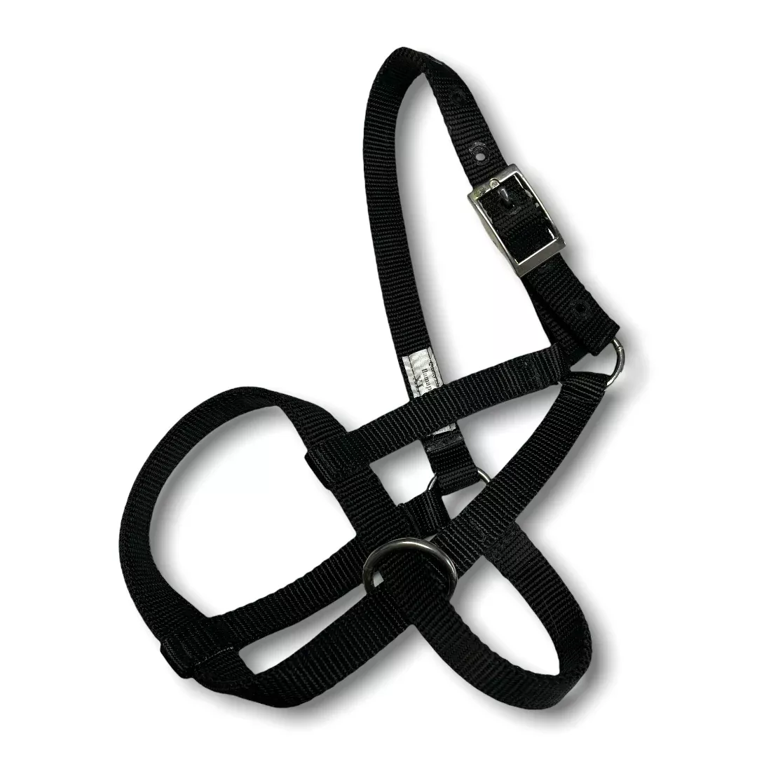 XL Alpaca Halter
