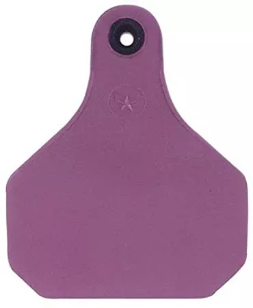 Y Tex Python Tick Tag