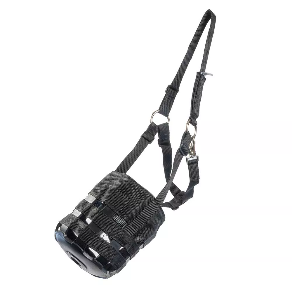 Yearling Grazing Muzzle w/ Halter