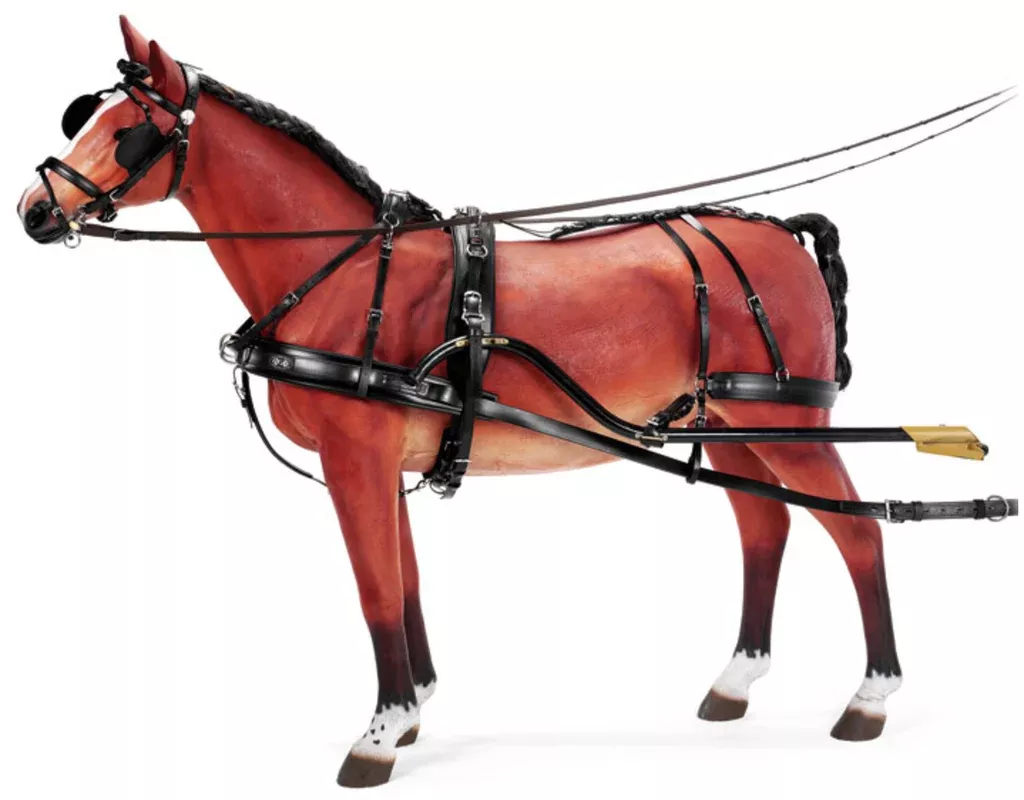Zgb Harness