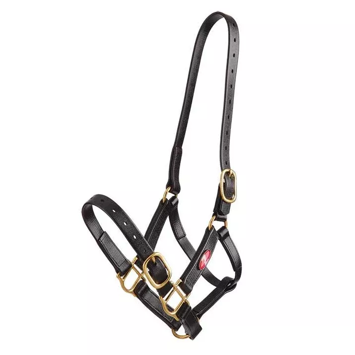 Zilco 25mm PN Nose Buckle Halter