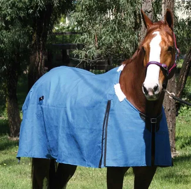 Zilco Canvas Rip Stop Rug 5'0 to 6'9