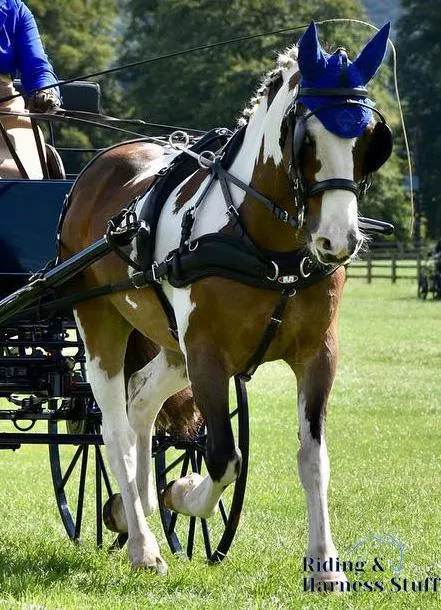 Zilco Classic Single Driving Harness with Empathy Breast Collar