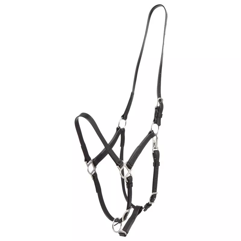 Zilco Deluxe Endurance Bridle/Halter Cavesson Only – Black